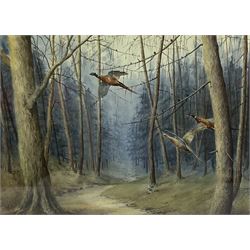 Cecil Thomas Hodgkinson (British 1895-1979): Pheasants in Flight, pair watercolours signed 22cm x 30cm (2)