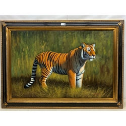 English School (Late 20th century): Tiger in Landscape, oil on canvas laid on board indistinctly signed 60cm x 90cm