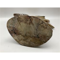 Goniatite sculpture, displaying two Goniatites within a polished and shaped matrix, age; Devonian period, H56cm