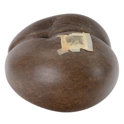 Coco De Mer (Lodoicea Maldivica) with license label, 1960/1970, Lodoicea, commonly known as the sea coconut, coco de mer, or double coconut, a seed of the palm family, from the islands of Praslin and Curieuse in the Seychelles
