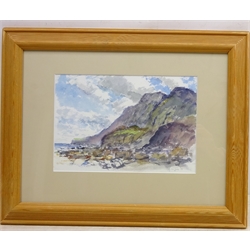  Ravenscar Cliffs from the Beach, watercolour signed and dated '99 by Neil Tyler (British 1945-) 18cm x 27cm  