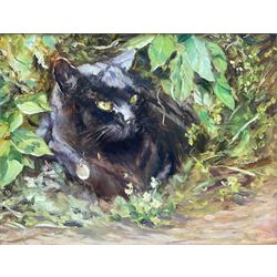 Iris Collett (British 1938-): Black Cat in the Undergrowth, oil on board signed 31cm x 41cm
Provenance: from the second and final part of the artist's studio sale collection