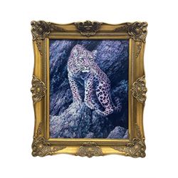 Alan M Hunt: Tiger, limited edition print in heavy gilt frame