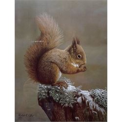Robert E Fuller (British 1972-): 'Squirrel Nutkin', limited edition colour print signed and numbered 20/850 in pencil 38.5cm x 29cm