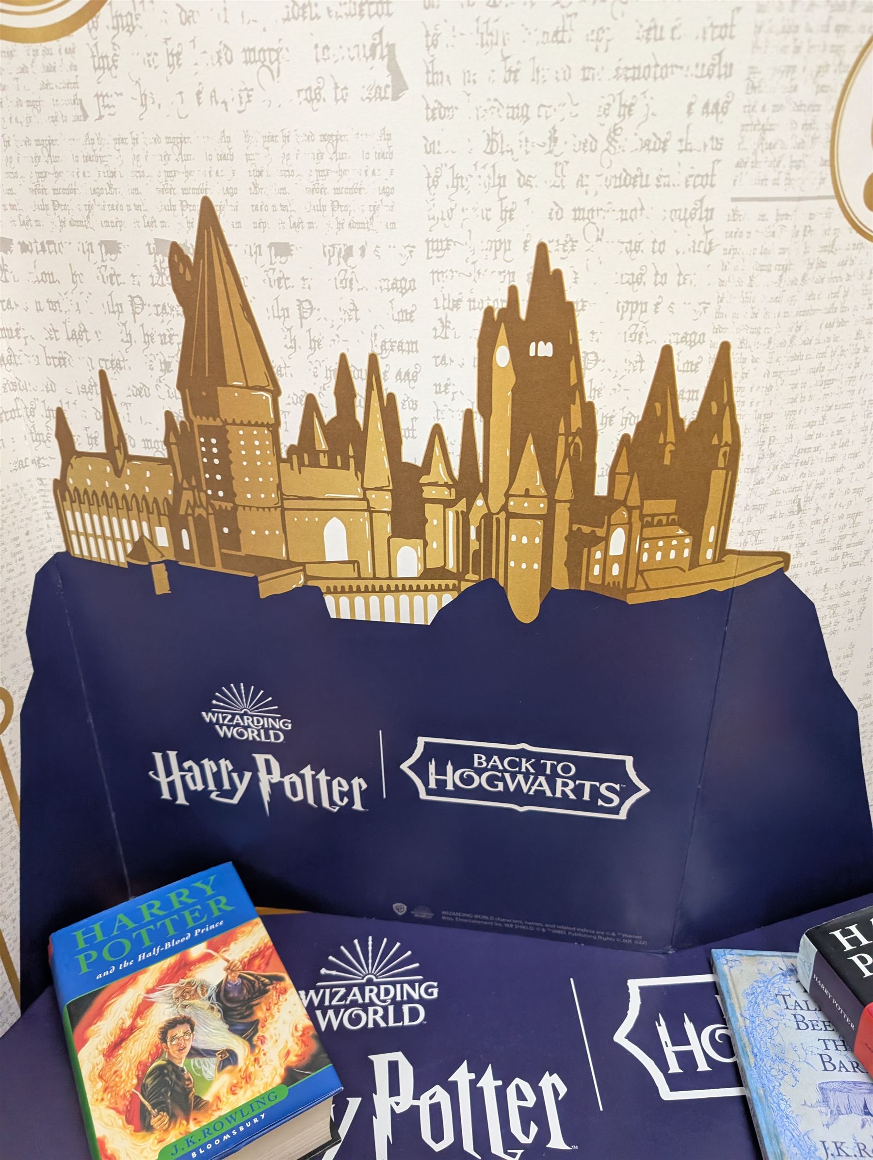Eleven JK Rowling books, comprising six Harry Potter books, including four first editions, Fantastic Beasts screen play, Harry Potter and the Cursed Child, Tales of Beedle the Bard, Casual Vacancy first edition, Christmas Pig First edition and a Harry Potter card board back drop