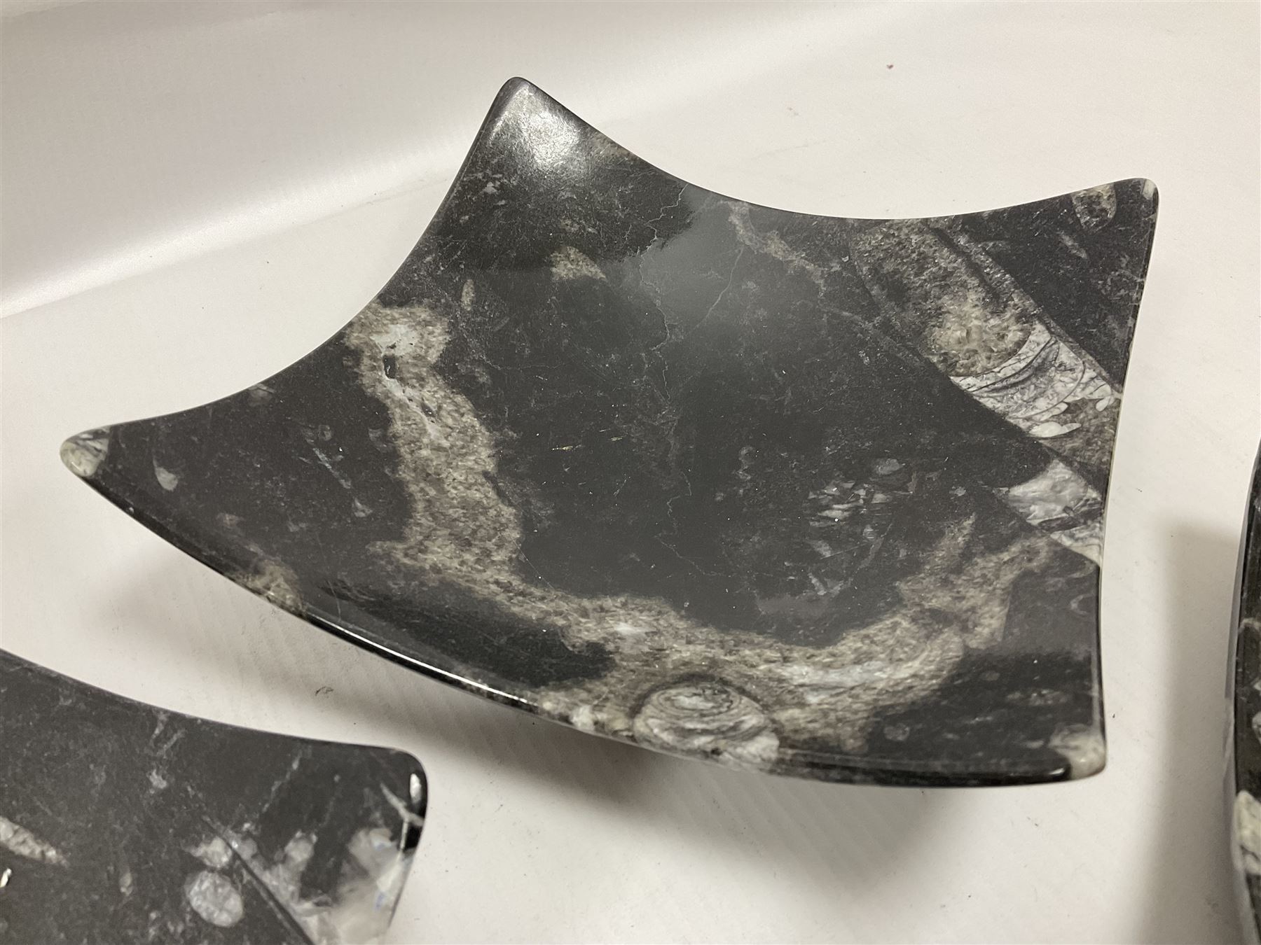 Set of four square dishes in two sizes, each with orthoceras and goniatite inclusions, age: Devonian period, location: Morocco, large dish D16cm
