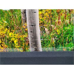 Peter Lik (Australian 1959-): 'Golden Dawn', limited edition ilfochrome photoprint signed and numbered 200/950, 49cm x 148cm