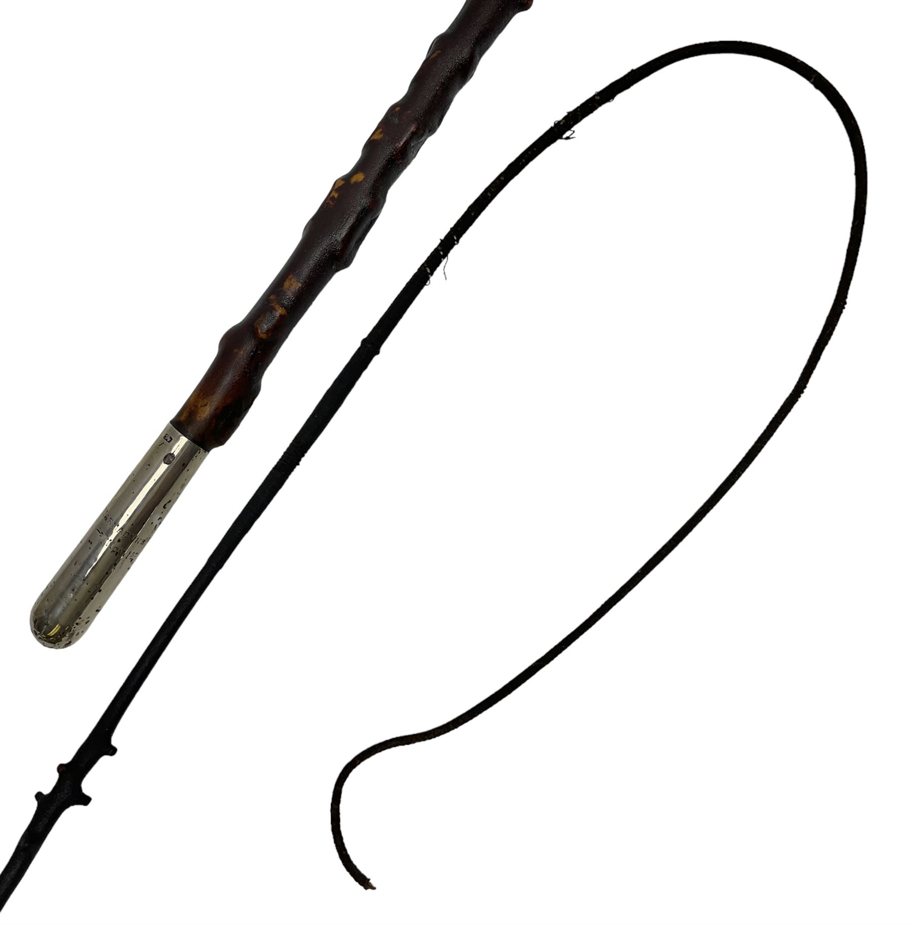 Victorian trap/coaching whip, principally in blackened thorn wood, with a silver cap engraved 'Marmaduke Furness Esquire Nov 1st 1904', hallmarked London 1900, makers mark AC, L173cm 