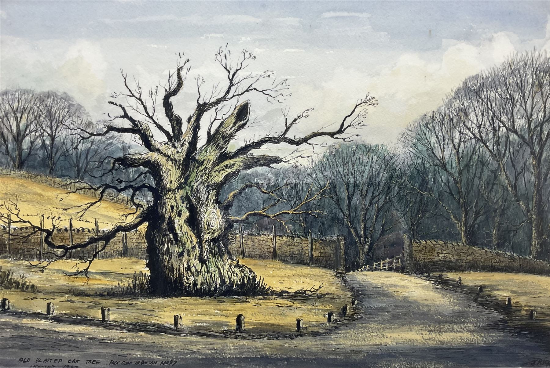 Jack Rigg (British 1927-2023): 'The Laund Oak' at Bolton Abbey, watercolour and ink signed inscribed and dated 1987, further inscribed verso 37cm x 55cm 
Notes: the Laund Oak was thought to be one of the oldest trees in England, being at least 700 years old but possibly older; it was sadly felled in a storm in January 2017.