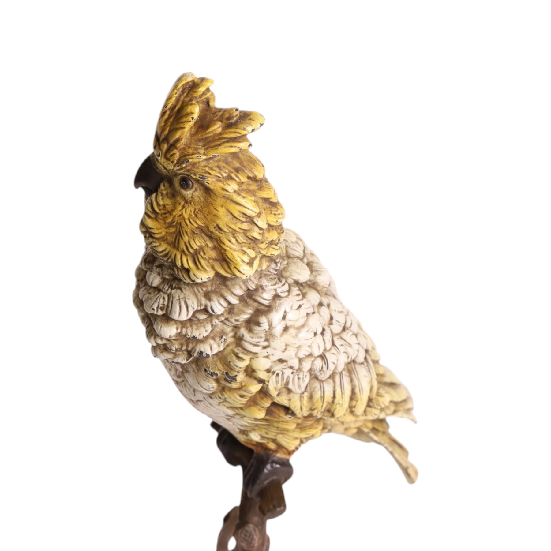 After Franz Bergman cold painted bronze model of a Cockatoo on a on a naturalistic perch base, bears stamps 'Geshutzt', H31cm
