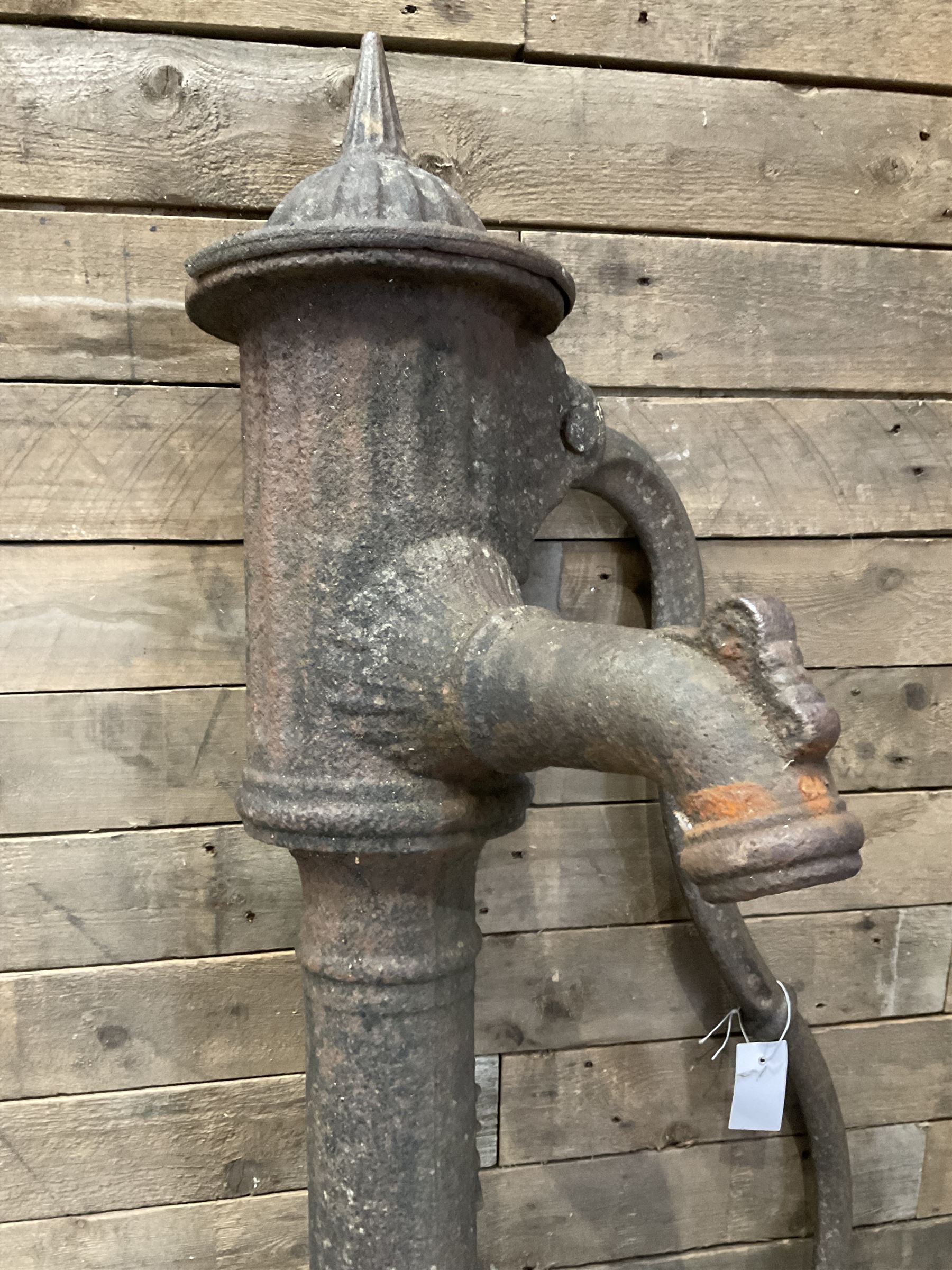 19th century cast iron water pump, lion crest with registration mark
