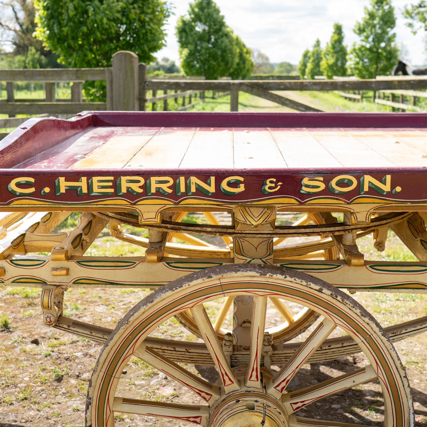 Advertising Trade Dray Wagon for C. Herring & Son, Hartlepool, Dated 1895 and Renovated 1975

An exceptionally decorative late Victorian horse drawn advertising trade dray, built by J. Herring of Hartlepool in 1895 and later renovated by C. Herring in 1975, as recorded by the painted inscription beneath the body. Finished in a striking cream and maroon livery with extensive hand painted signwriting, the wagon carries the name C. Herring & Son, Iron & Steel Processors, Hartlepool along its sides and rear panels. The wagon is fitted with a flat timber loading bed, twin shafts for a single horse, elegant spoked wooden wheels, iron bound tyres, rear headboard and traditional undercarriage with leaf spring suspension. Richly detailed scrollwork and lining throughout make this a particularly attractive example, suitable for collection, display, museum, promotional or coaching purposes.

Features

• Built by J. Herring, Hartlepool, 1895
• Renovated by C. Herring in 1975
• Original style hand painted advertising signwriting
• Flat timber loading platform
• Raised rear headboard with decorative pierced gallery
• Twin shafts for a single horse
• Wooden spoked wheels with iron tyres
• Traditional leaf spring suspension
• Extensive decorative lining and scrollwork throughout
• Attractive cream and maroon colour scheme
• Suitable for private collection, museum or display use

Dimensions:
Overall length: 560 cm
Body length: 300 cm
Width: 158 cm
Height: 150 cm

Wheel Diameters:
Front wheels: 76 cm
Rear wheels: 86 cm