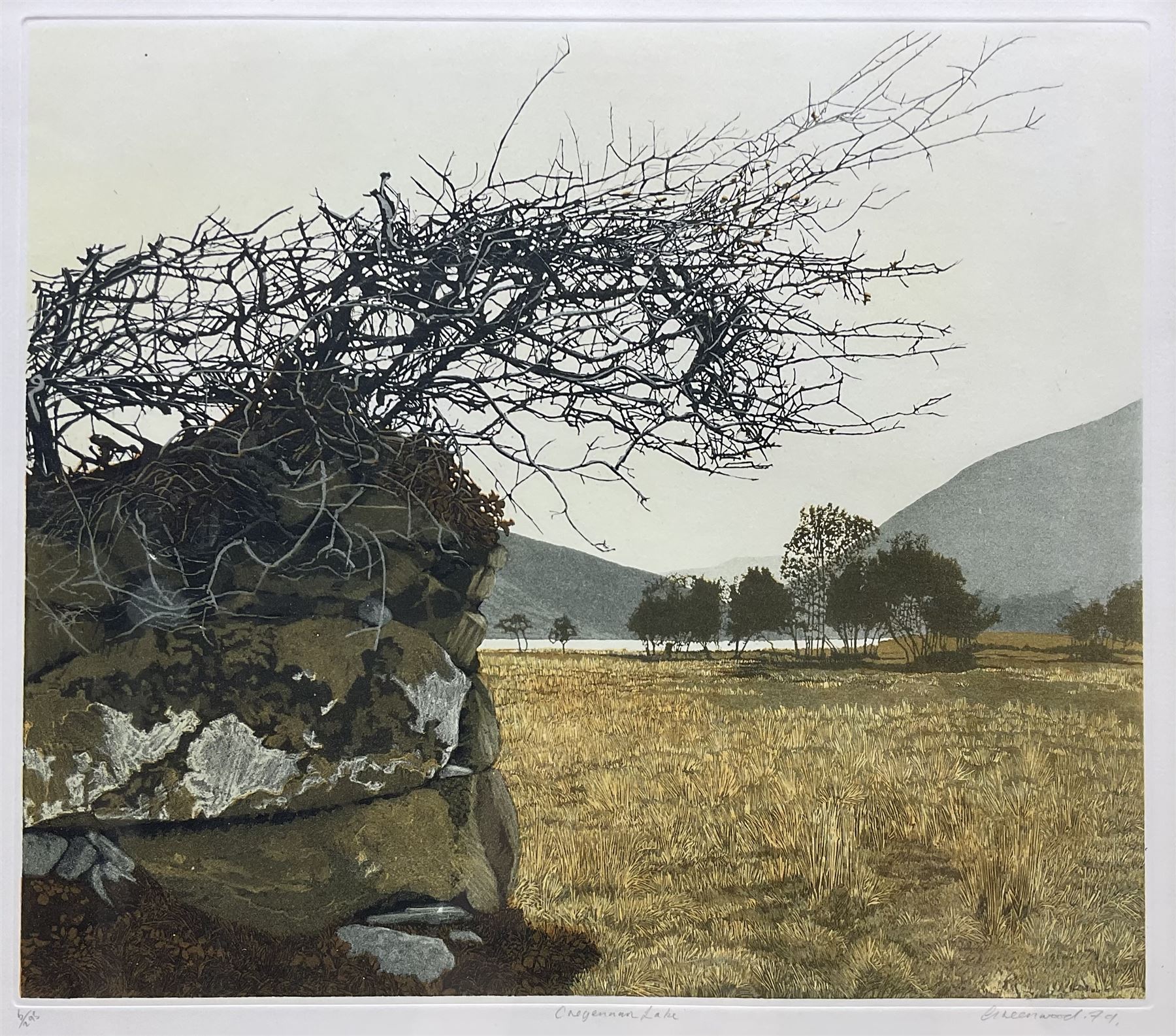 Philip Greenwood (Welsh 1943-): 'Cregennan Lake', artist's proof aquatint signed titled and numbered 5/295 in pencil 36cm x 41cm 