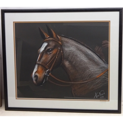  Portrait of a Horse, 20th century pastel signed and dated 1979 by Alan Ward 48cm x 58cm   