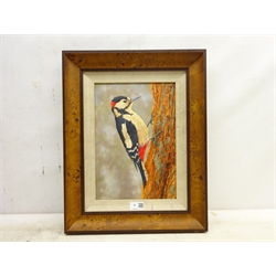  Robert E Fuller (British 1972-): 'Woodpecker at Fotherdale', oil on board signed and dated 2009, 33cm x 23cm Provenance: from a single owner collection purchased from the Robert Fuller Gallery between 2006 and 2014  DDS - Artist's resale rights may apply to this lot   