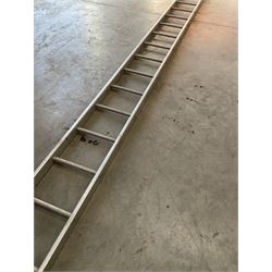 Ramsay 24 rung 2.4m single ladder