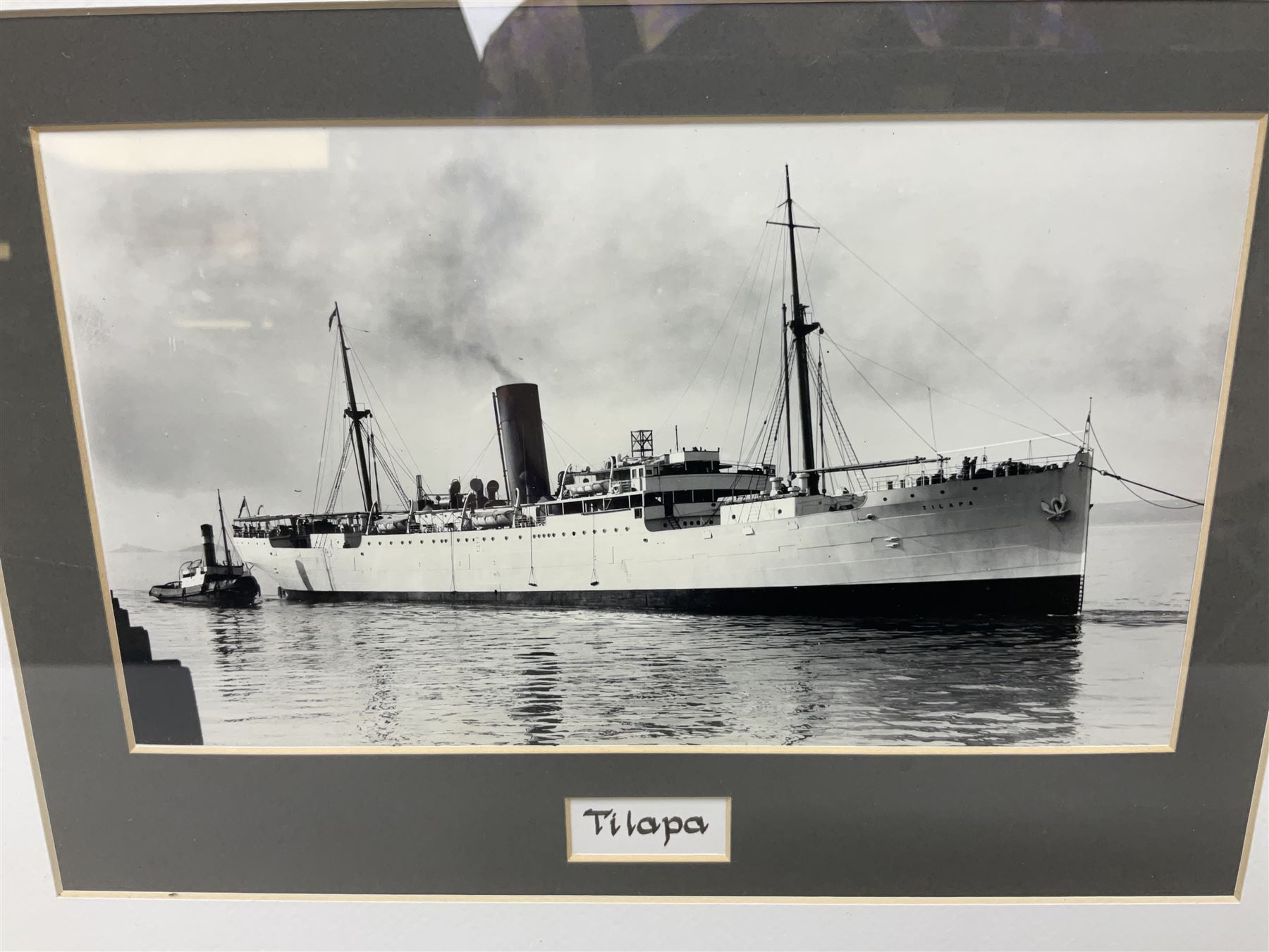 Set of twelve monochrome photographs of mid-20th century merchant vessels comprising general cargo ships, cargo liners, RMMV passenger cargo liners and hospital ship including Rowallan Castle, Drakensberg Castle, Stirling Castle, Capetown Castle, Pachumba, Tilapa etc; average size 18 x 24cm; uniformly mounted in black frames (12)