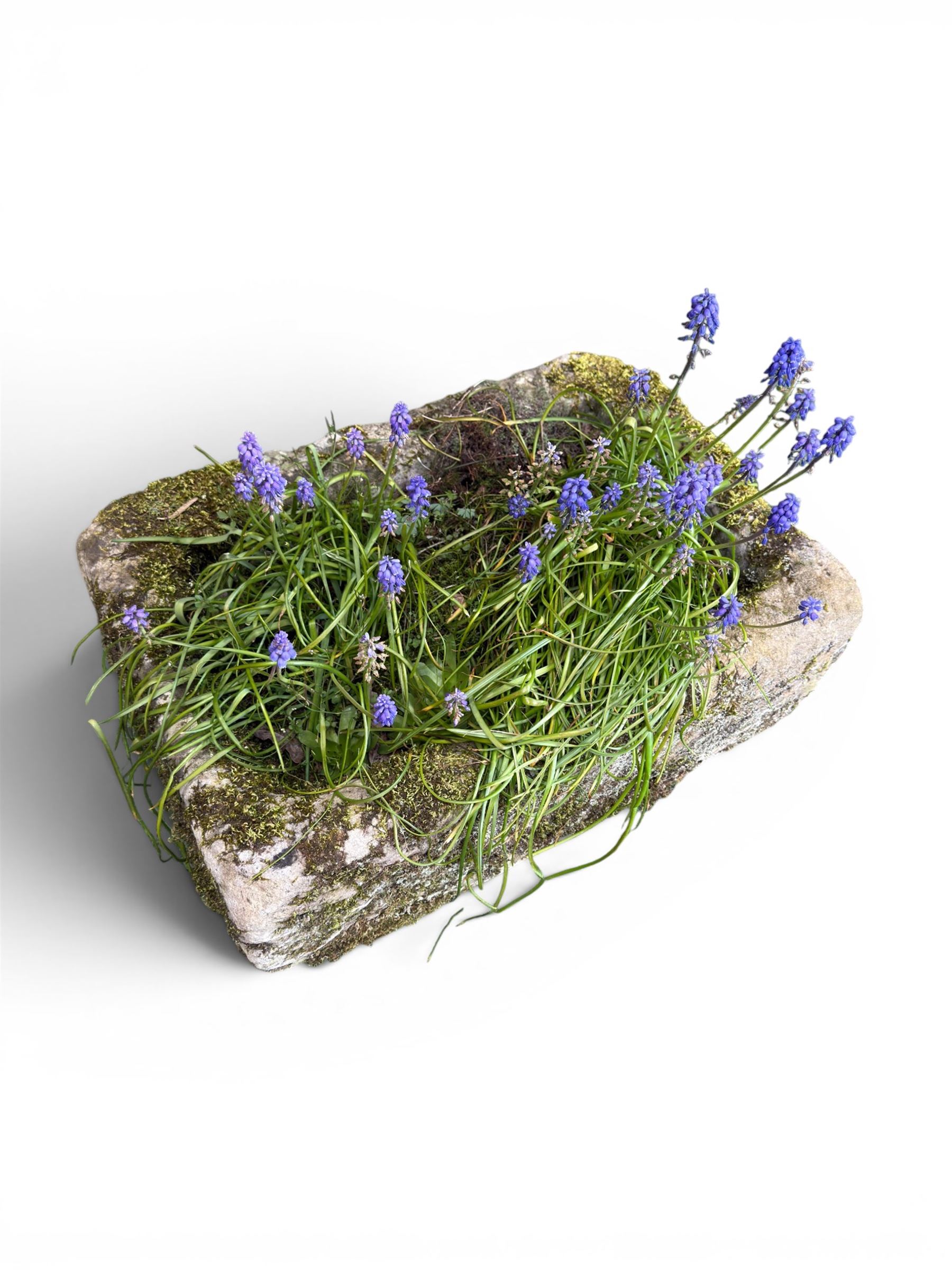 19th century weathered hewn stone planter of rectangular form, planted