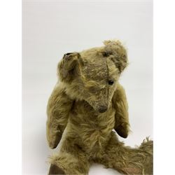 Early 20th century English teddy bear, WW1 period, with wood wool filled mohair body, fixed head with one boot button eye and vertically stitched nose and mouth and jointed limbs with cloth paw pads H16