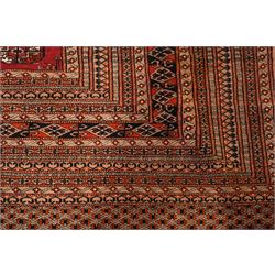 Large Afghan Bokhara crimson ground carpet, the field with rows of repeating Gul motifs and geometric design, enclosed by multiple repeating geometric guard bands