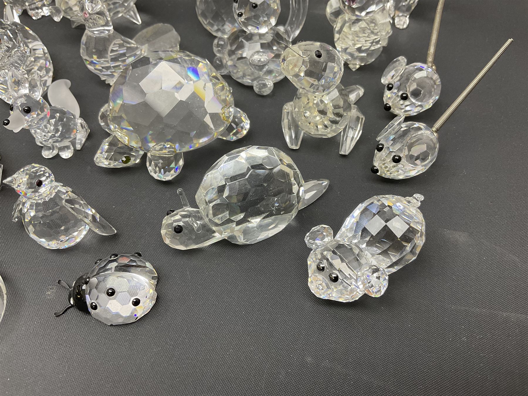 Collection of Swarovski Crystal animals, to include hedgehogs, snails, birds, mice and snakes, etc