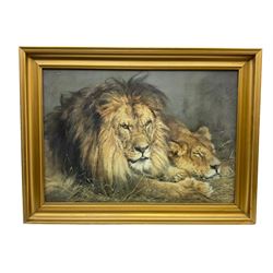 Three early 20th century gilt framed oils on canvas, large oil on board of highland cattle, pair gilt framed prints after Frank Moss Bennett, large print of lions, and two further prints (9)