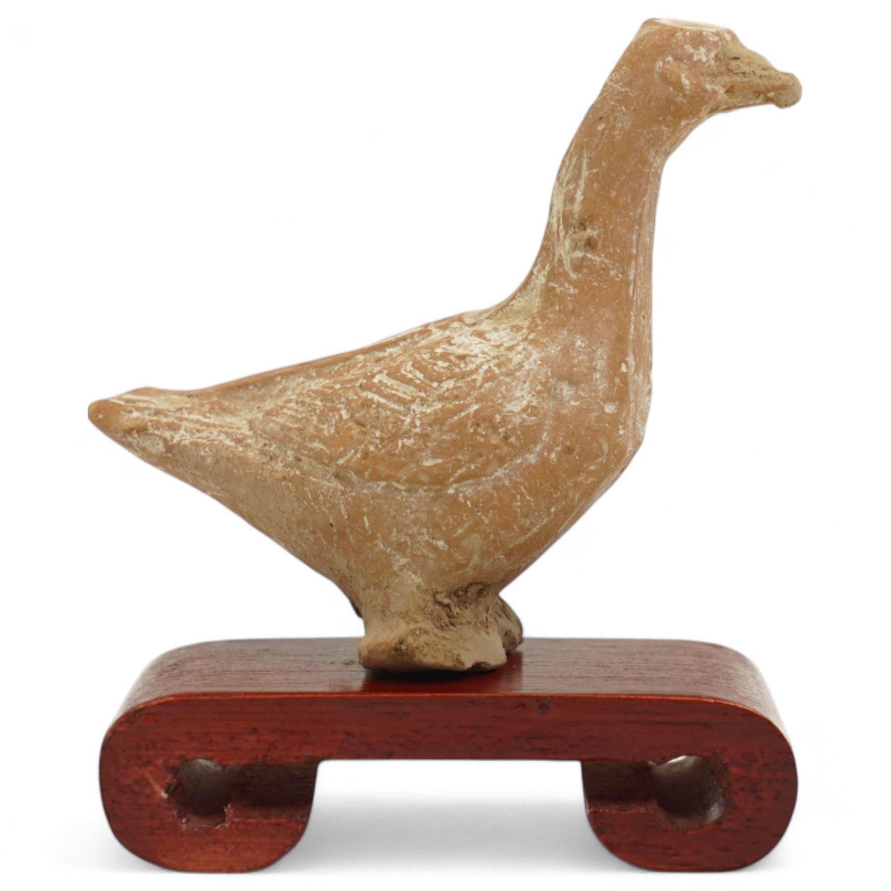 Chinese Tang Dynasty small carved terracotta figure of a goose, c.618AD-907AD, on scrolled red hardwood stand, H8cm 