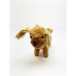 Farnell curly plush spaniel dog in a crouching position with glass eyes, dark brown snout, long tail and ears and jointed swivel head L25.5