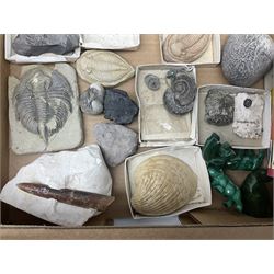 Natural history; Collection of rock and mineral specimens to include muscovite, sphalerite zinc blende, breccia, migmatite, fluorite etc, housed in a wood box, some named 