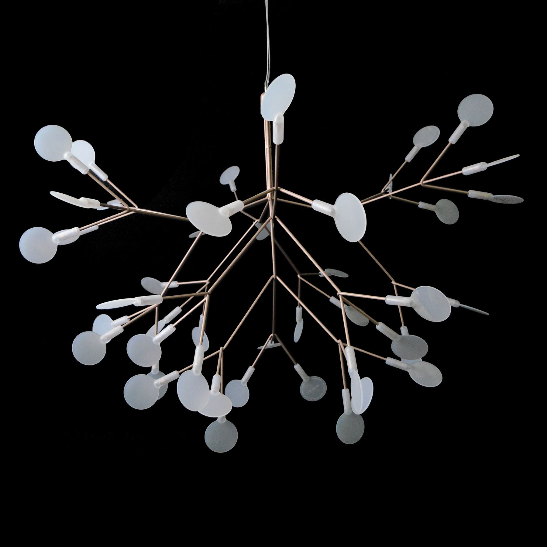 Moooi - Heracleum III ceiling light, branching metal armature in a bronze metallic finish, radiating asymmetrical arms fitted with numerous integrated LED light points, each terminating in a frosted polycarbonate lens, suspended from a central stem and ceiling rose