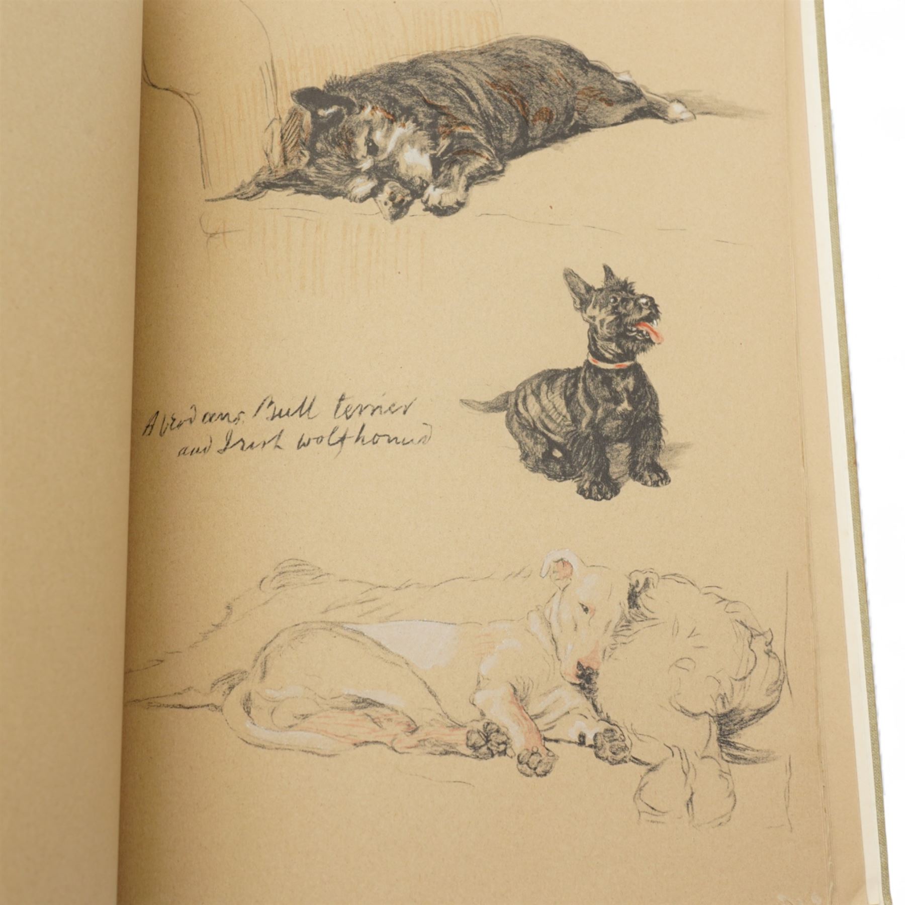 Two Cecil Aldin books - 'Dogs of Character' pub. 1927 and 'Just Among Friends' pub. 1935 (2)