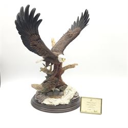 A large Country Artist limited edition figure, Spirit of Freedom 4023/1500, overall H45cm.