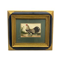 After Dorothy Margaret Alderson (British 1900-1992): Highland Cattle Watering, colour print; After Arthur Spooner (British 1873-1962): 'A Strain on Devotion' and 'The Breaking Point', pair colour prints; After Penry Powell Palfrey (British 1830-1902): 'A Hunter Sire', 'Anglo-Arabian Khaled', 'Thoroughbred Stallion Mambrino' and 'Arab Stallion Speed of Thought', set four reproduction engravings; and a late 19th century Cassell poultry print (8)