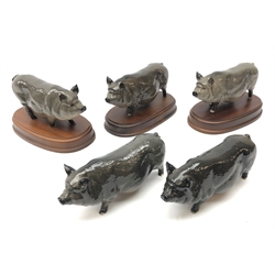  Five Royal Doulton 'Vietnamese Pot Belly Pigs', three on wooden plinths (5)  