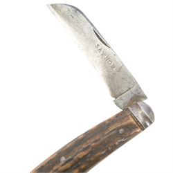 Flat bottomed pruning knife, antler scales, the blade stamped Saynor, Saynor Cooke & Ridal and verso Obtain Warranted, blade L10cm, overall L22cm