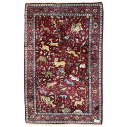 Persian Kashan design crimson ground rug, field decorated with hunting scenes of predatorial animals and prey with surrounding foliage patterns, the guarded border with palmette motifs and scrolling floral branches