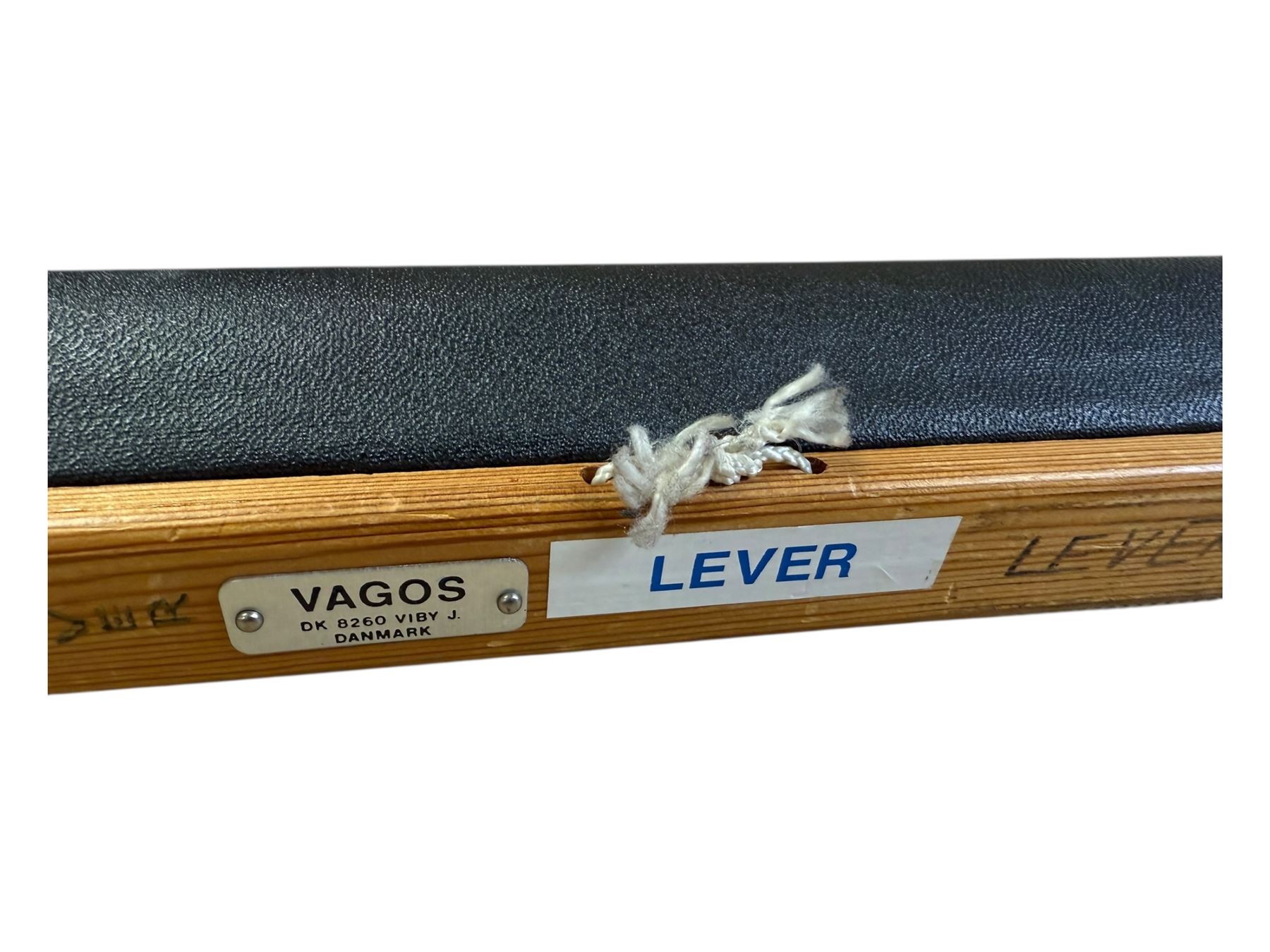 German medical poster, marked Deutsches Hygiene, W94cm 