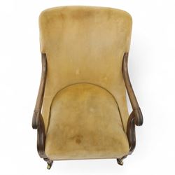 William IV mahogany library armchair, beige velvet upholstered back and padded seat with piping and scroll carved arms, reeded uprights, raised on tapered reeded front legs and out-swept back legs with brass castors 
