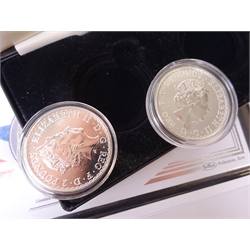  Seven Royal Mint silver Britannia coins, 2012, 2013, 2015, 2016, two 2017 and 2019, housed in coin covers or cases  