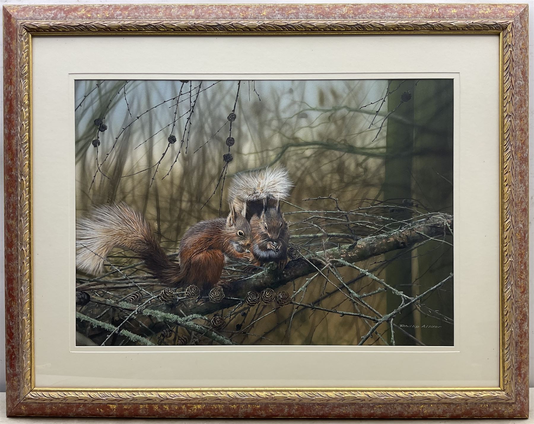 Phillip Allder (British 1950-): 'Red Squirrels', gouache signed 53cm x 75cm 
Provenance: from The Bell Hotel, Driffield