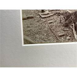 Frank Meadow Sutcliffe (British 1853-1941): Cleaning the Boat, albumen print c.1882 initialled and numbered 46 in the negative 15cm x 20cm (mounted)
Provenance: Witkin Gallery, New York; Sotheby's 25th April 1990 Lot 17; the Graham Nash Collection