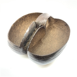  A Coco-de-mer seed (Lodoicea maldivica), carved as a basket, W8cm L31cm.    
