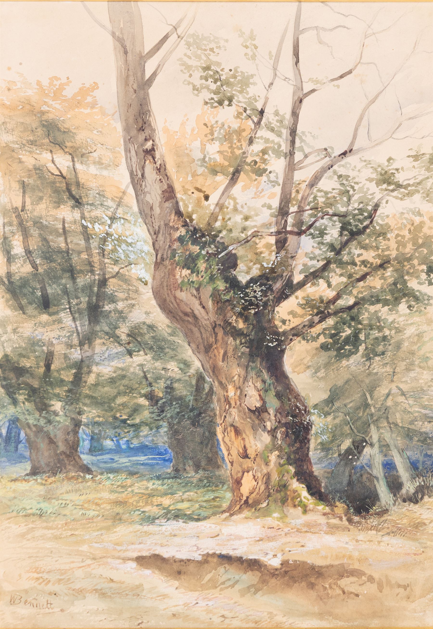 William Bennett (British 1811-1871): The Old Tree, watercolour signed 40cm x 29cm