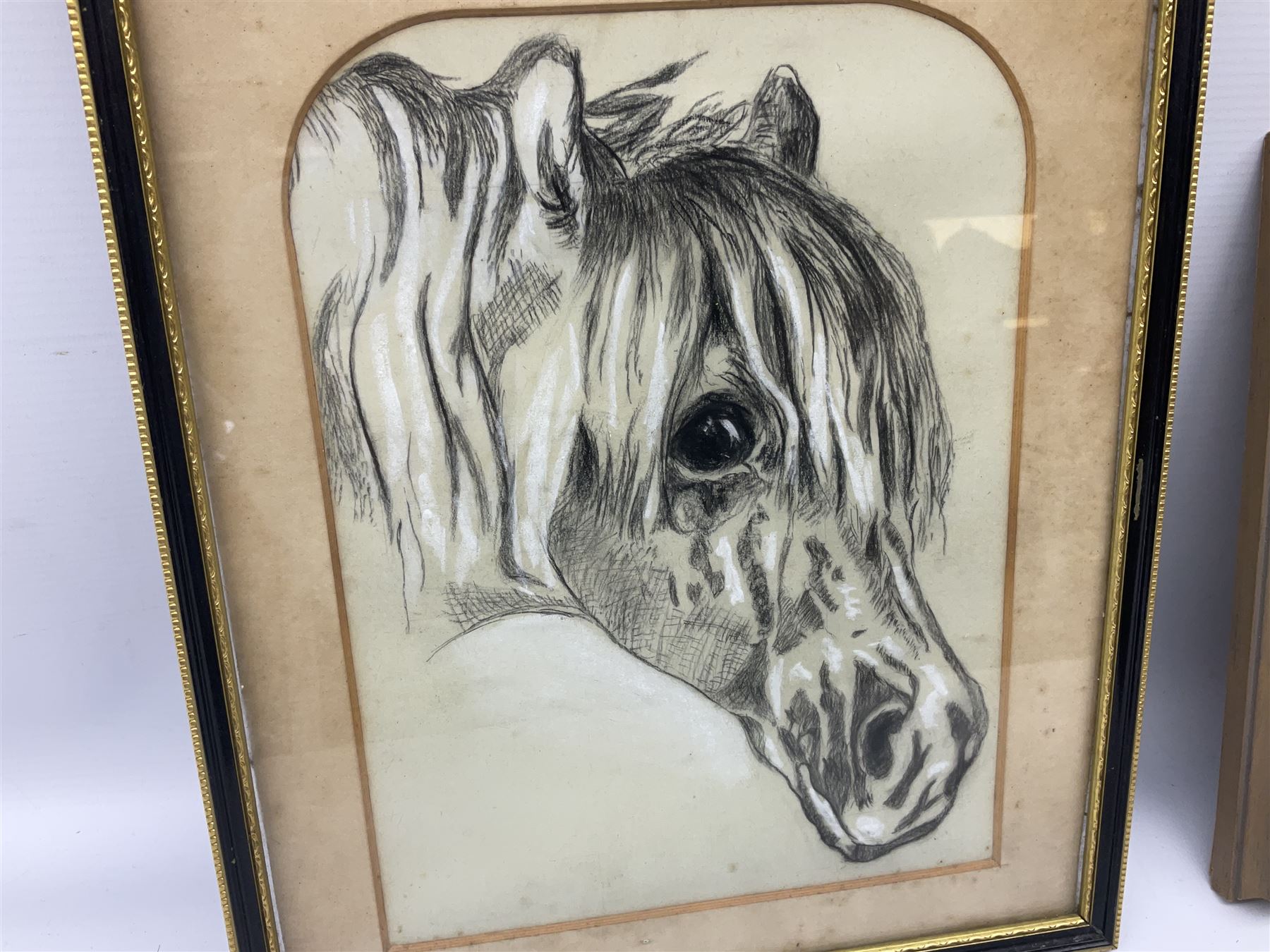 English School (20th century): Westaby Sheriff Hutton Cow and Calf, oil on board signed and dated 1991 together with a chalk portrait of a horse max 25cm x 19cm (2)