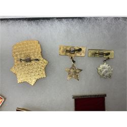 Nineteen Russian Soviet Tank Commemoration badges and medals, in small display case