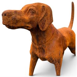 Pair of weathered cast iron garden statues in the form of standing foxhounds with outstretched tails and collars, in rusted patina