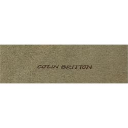 Colin R Britton (British 1947-): 'Scarborough Castle', watercolour signed, titled on Mall Galleries label verso 34cm x 50cm