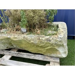 18th/19th century shallow sandstone trough/planter, long rectangular shape with rough cut and tooled sides, planted - THIS LOT IS TO BE COLLECTED BY APPOINTMENT FROM DUGGLEBY STORAGE, GREAT HILL, EASTFIELD, SCARBOROUGH, YO11 3TX