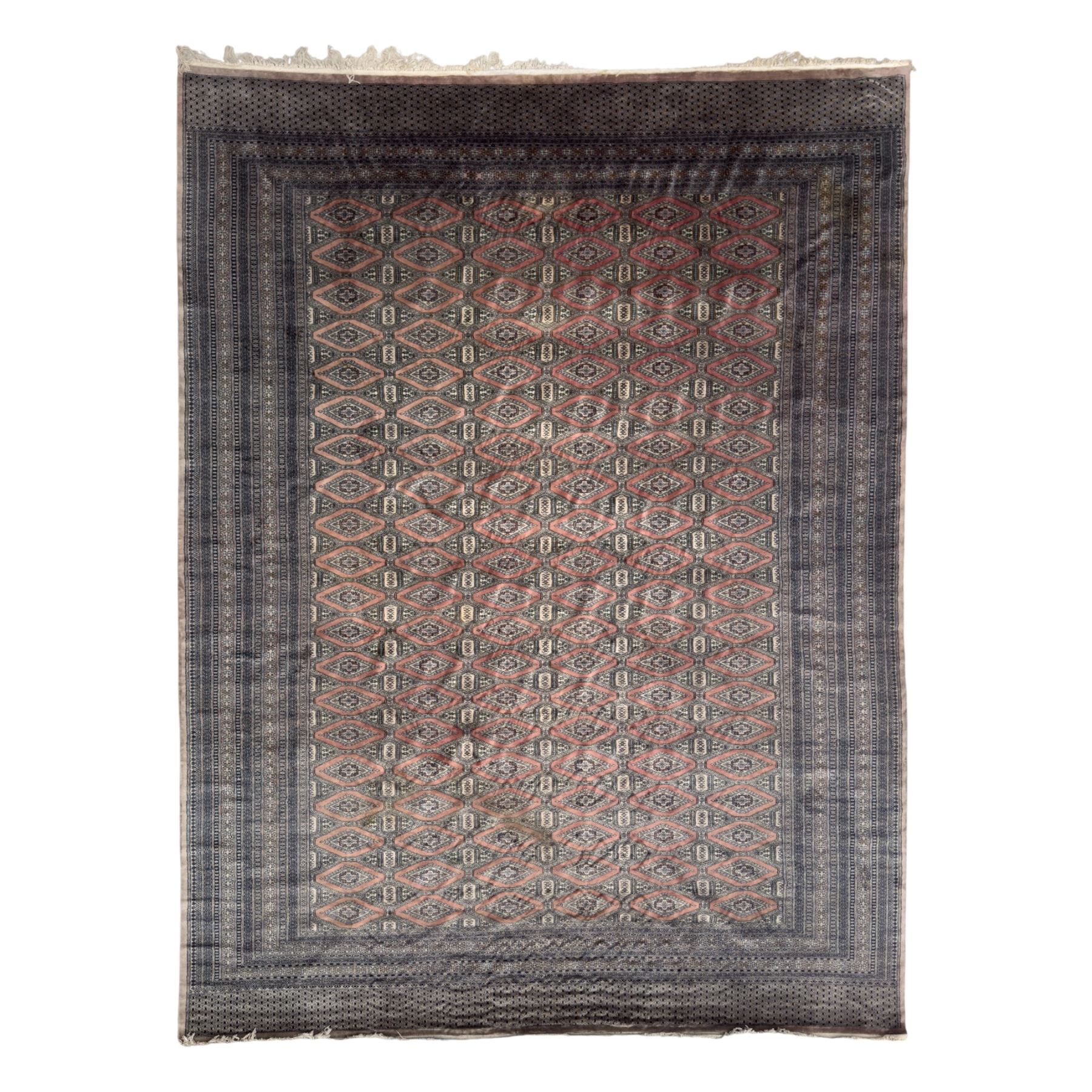 Large Persian Bokhara wool rug, the field decorated with repeating gul motifs in lozenge medallions across a dark ground, enclosed by multiple geometric borders in indigo, ivory and terracotta, from the region of Baluchistan