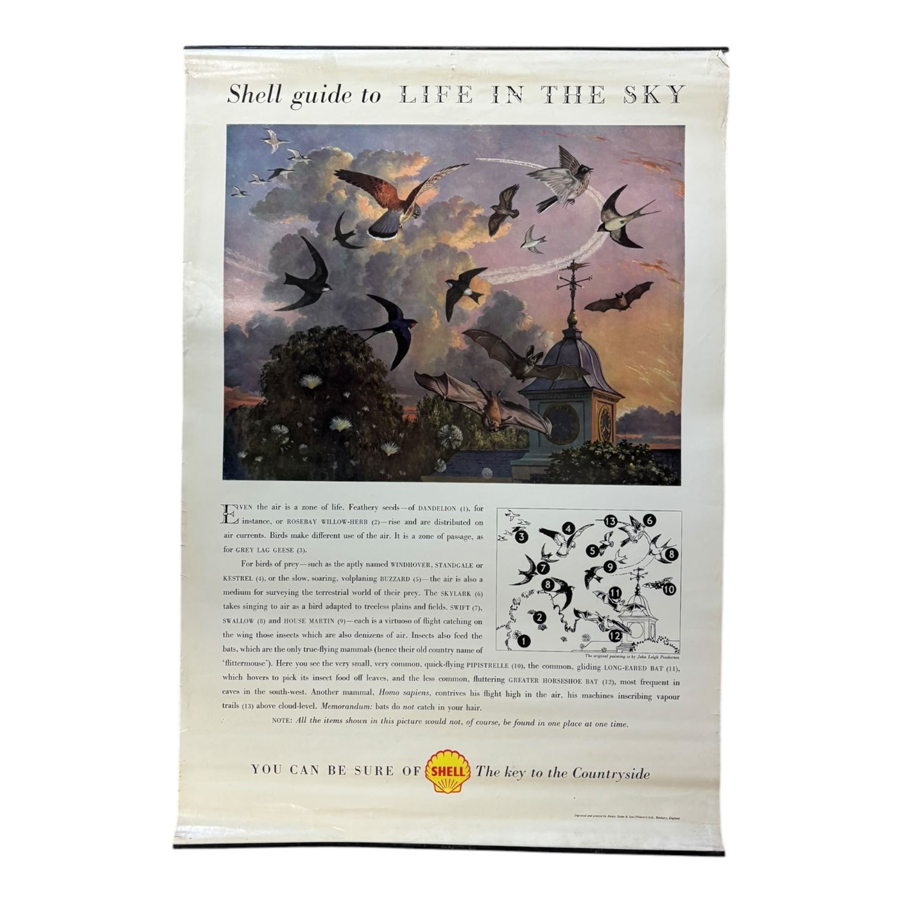 Collection thirty seven vintage county guide posters produced by Shell, H76cm, W51cm